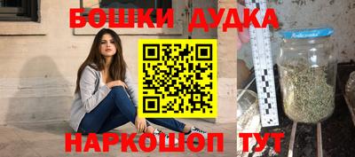 индика Брянск