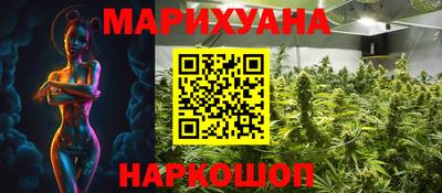 индика Брянск