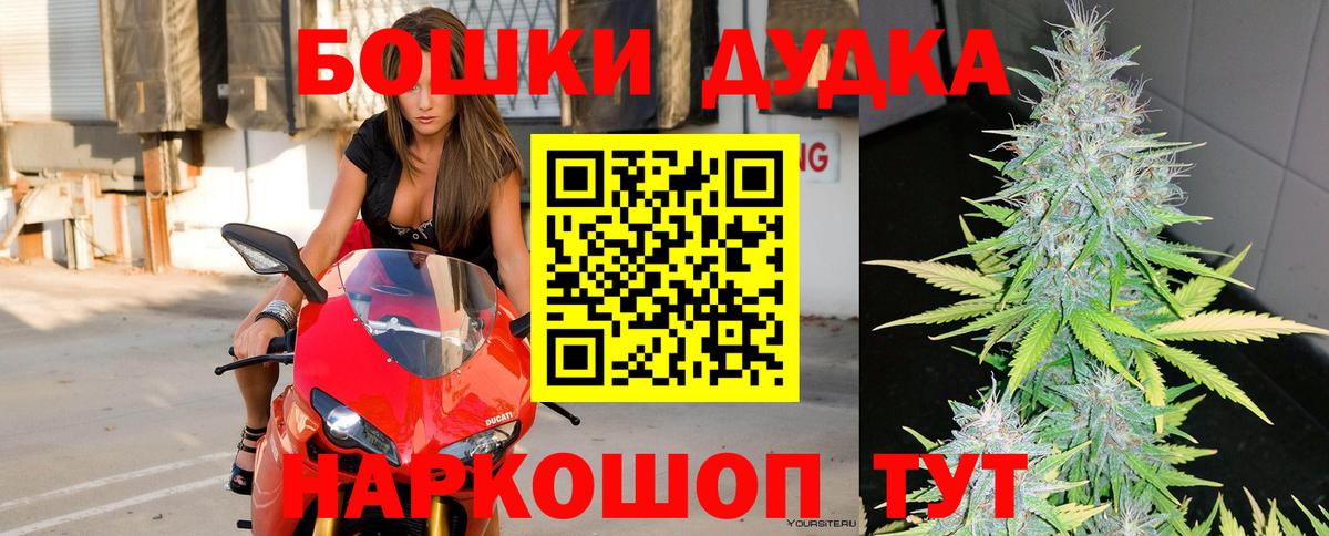 МАРИХУАНА план  Шишки марихуана White Widow  Канабис сатива  Сокол  Вход с VPN  Бошки Шишки Bruce Banner 